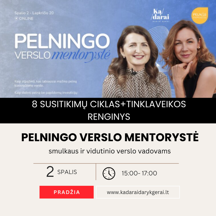 Programa: PELNINGO VERSLO MENTORYSTĖ + TINKLAVEIKA