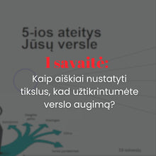 Įkelti vaizdą į galerijos rodinį, VERSLO AKSELERATORIUS
