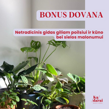 Įkelti vaizdą į galerijos rodinį, Kaip kiekvieną rytą keltis su džiaugsmu? Online pokyčių programa moterims.
